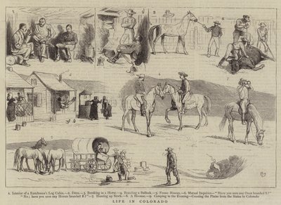 Life in Colorado by Alfred Chantrey Corbould